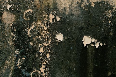 Почему темные оттенки требуют другой подготовки стен, чем светлые?