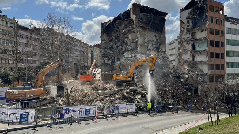 Какие нормативы защищают корневую систему при строительстве?